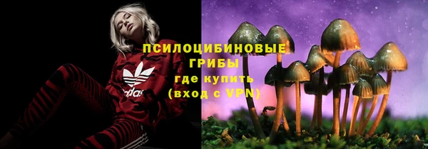 PSILOCYBIN Вязники